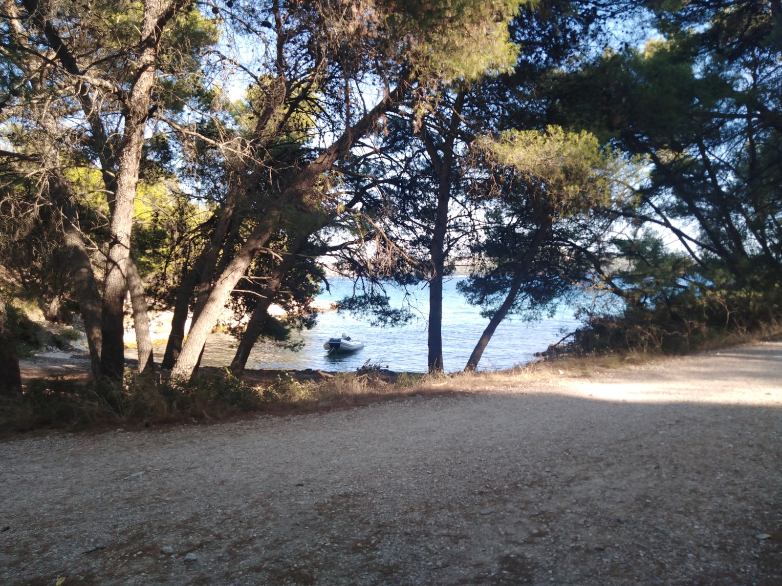 A view of a coastal path lined with pine trees next to a calm bay with a small boat.