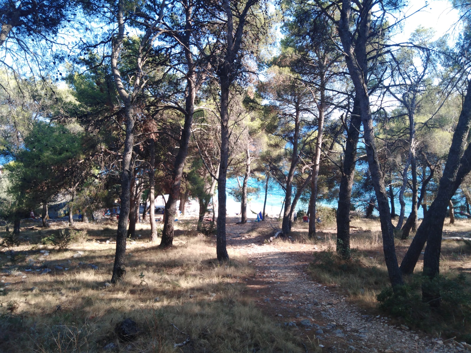 A rocky access path winds through a pine forest towards the turquoise sea at Medena Beach.