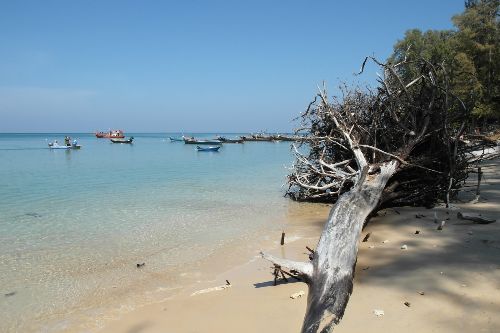 A traditional longboat rests in the clear, shallow water near the shore, with distinctive driftwood in the foreground.