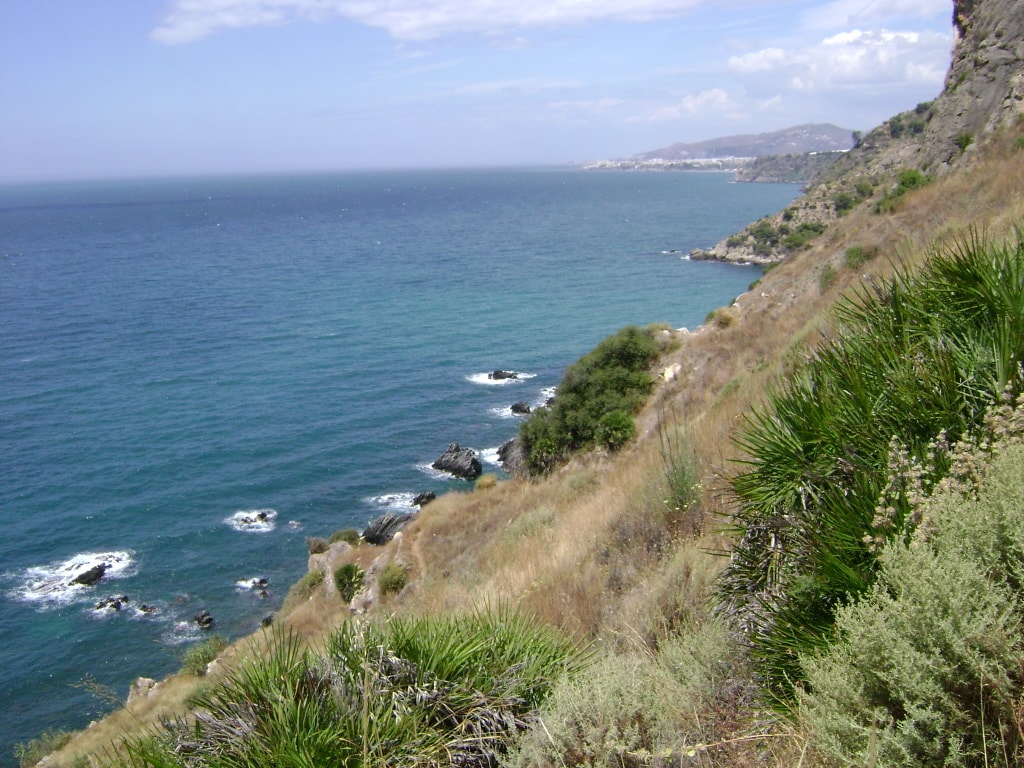Rugged cliffs covered in scrub brush drop down to a vibrant blue sea, showing the wild coastline between Nerja and Maro.