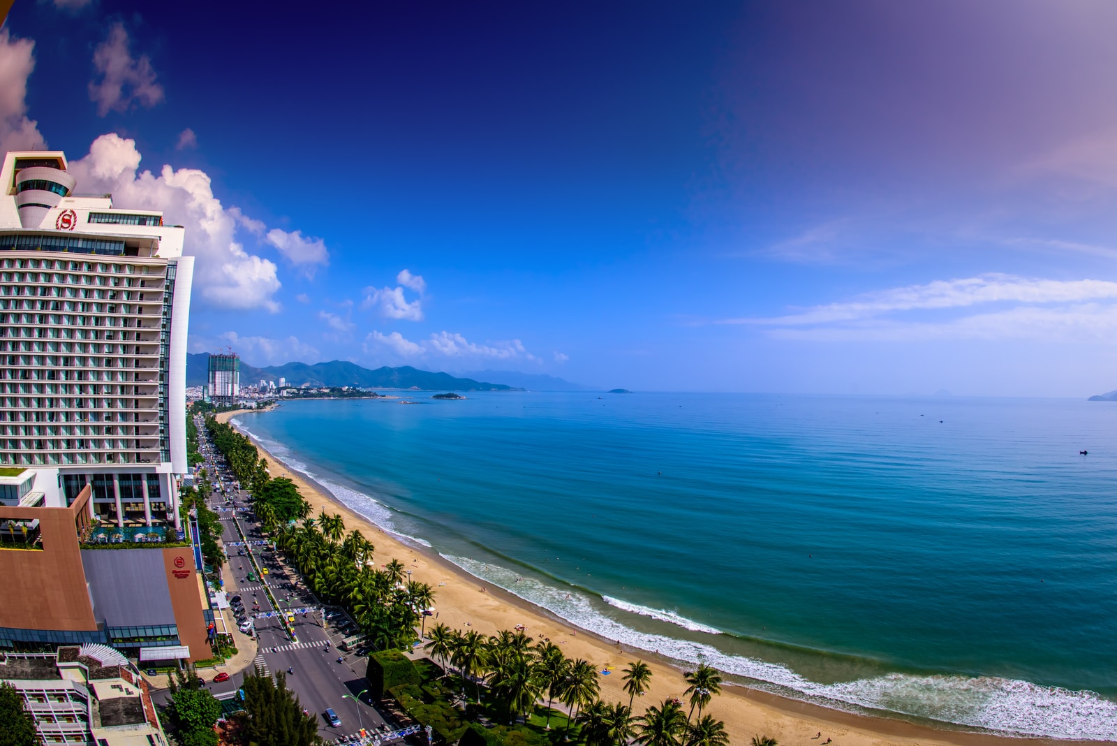An elevated view of a long, sandy urban beach lined with palm trees, hotels, and a bustling city.