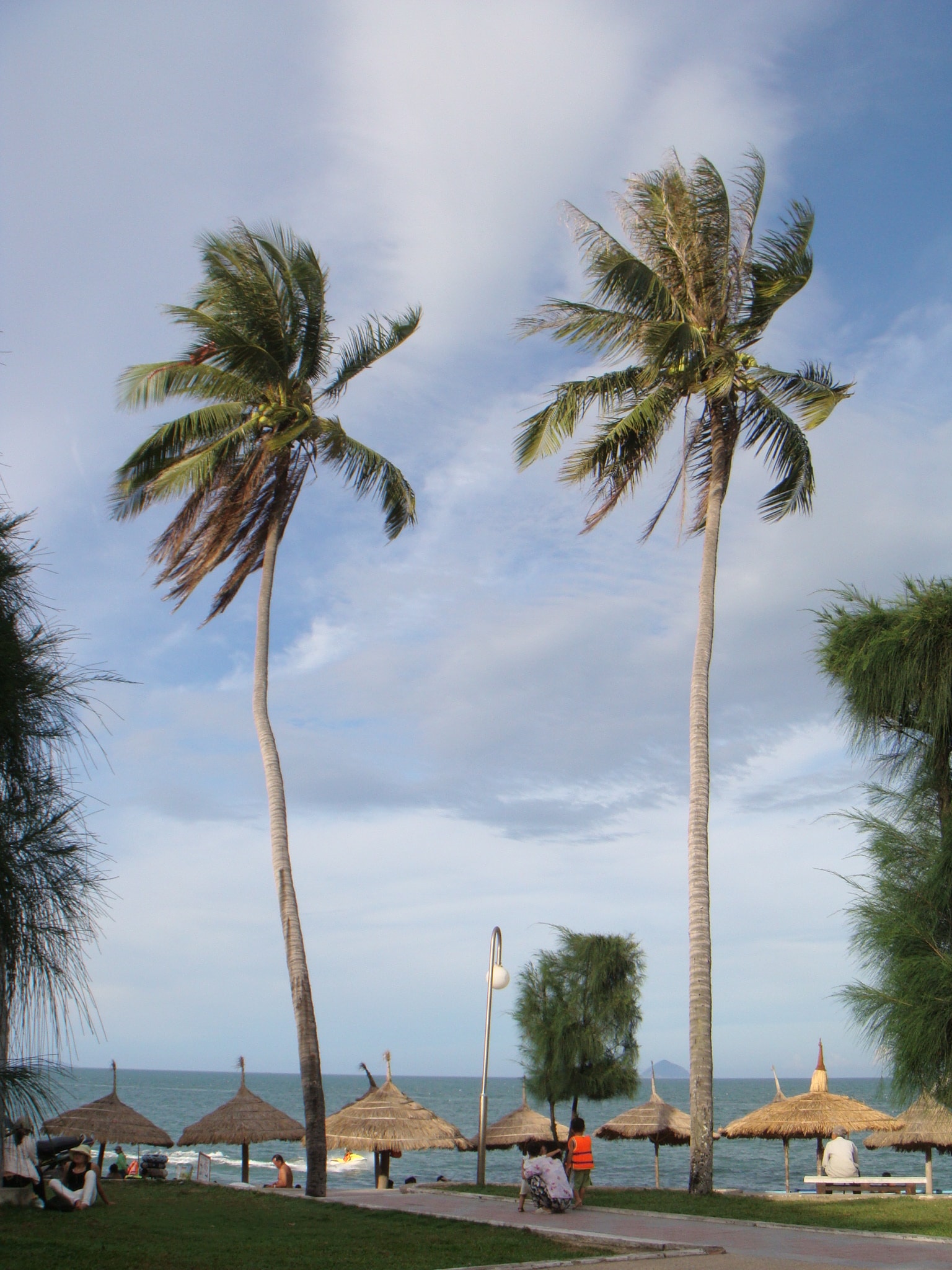 A tranquil beach scene with palm trees framing the view of umbrellas, lounge chairs, and calm blue-green water.