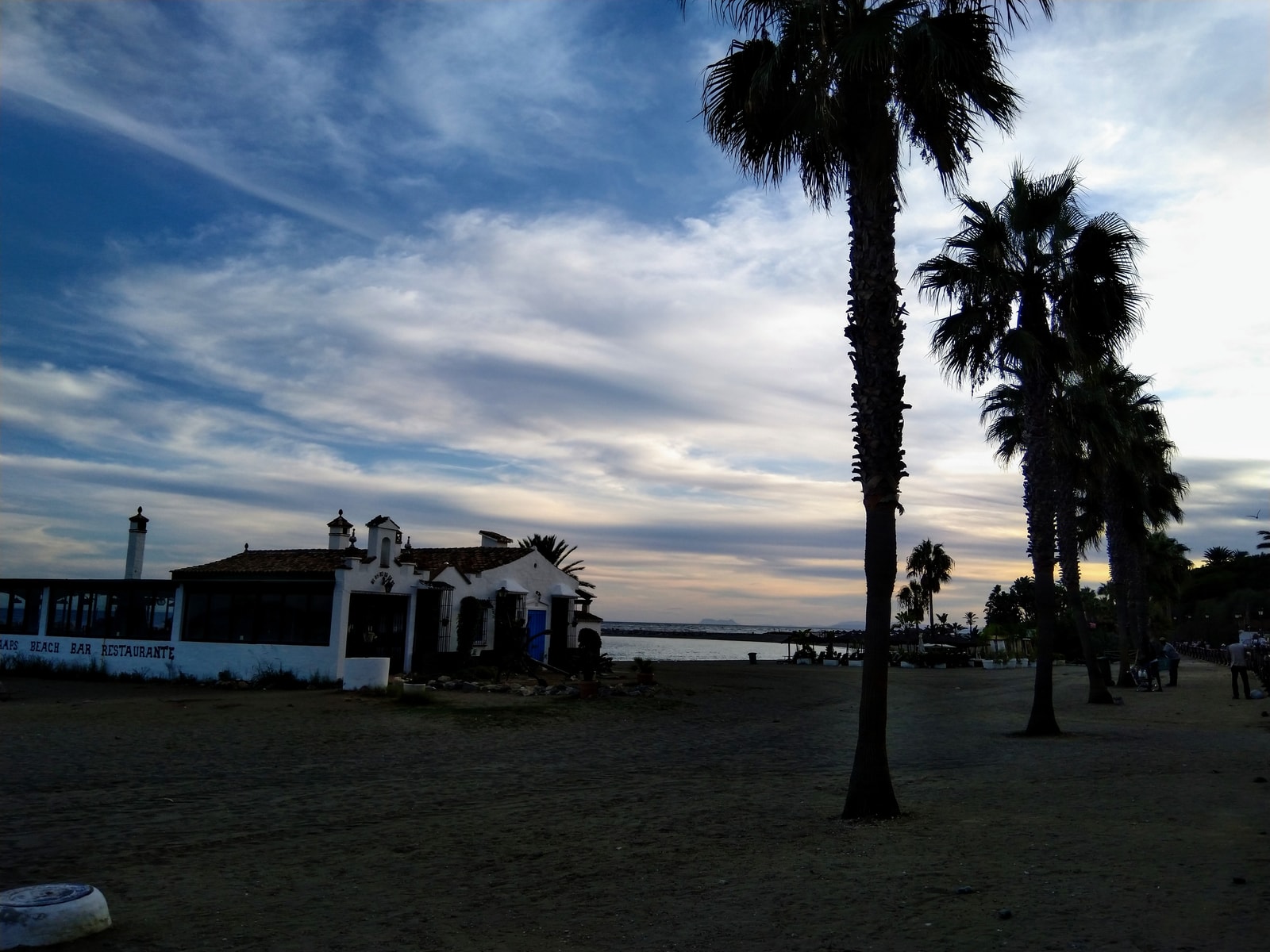 A beachfront restaurant in Nueva Andalucía at dusk, with palm tree silhouettes against a dramatic twilight sky.