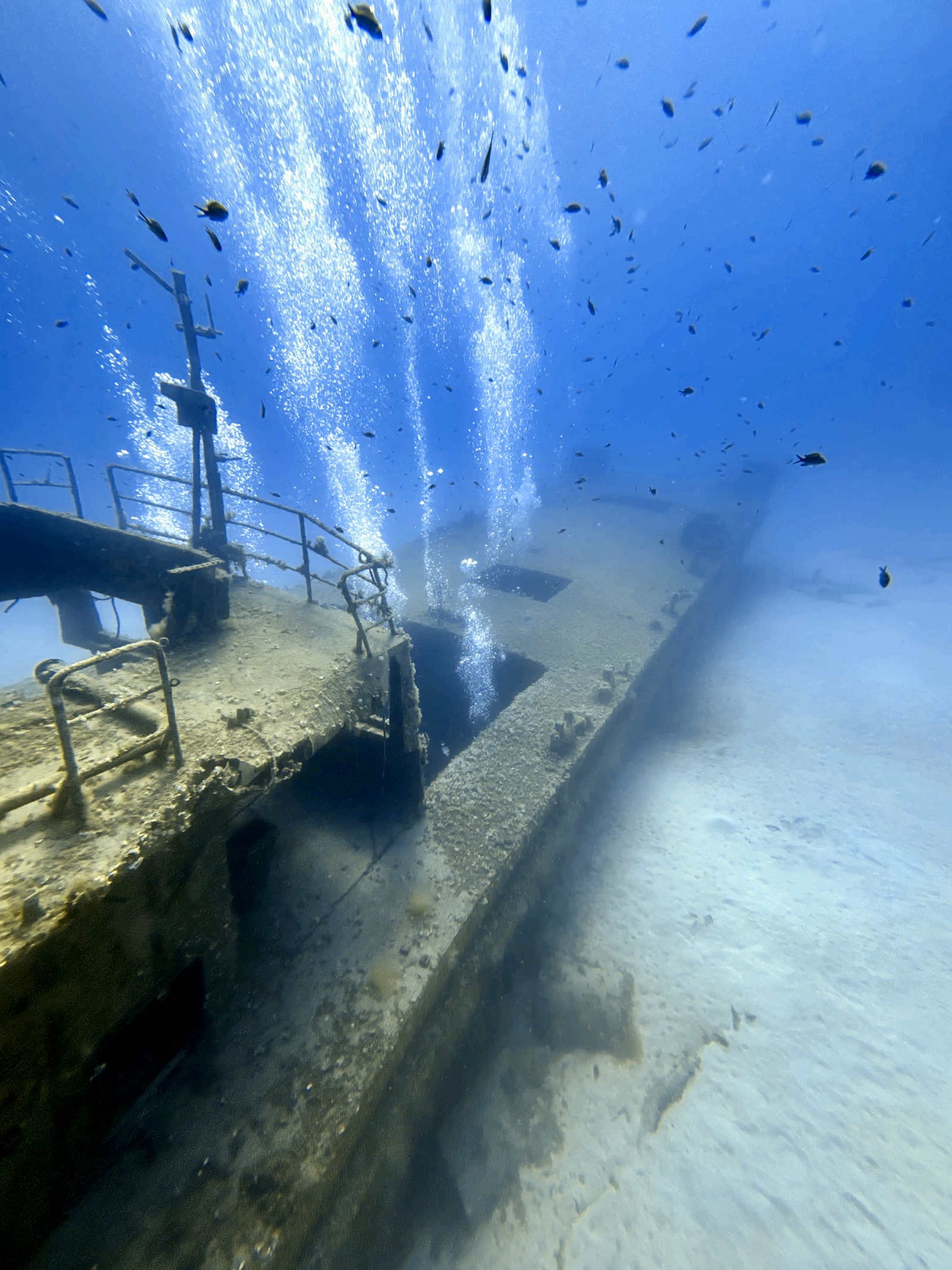 Underwater view of the P31 wreck on the sandy seabed off the coast of Comino.