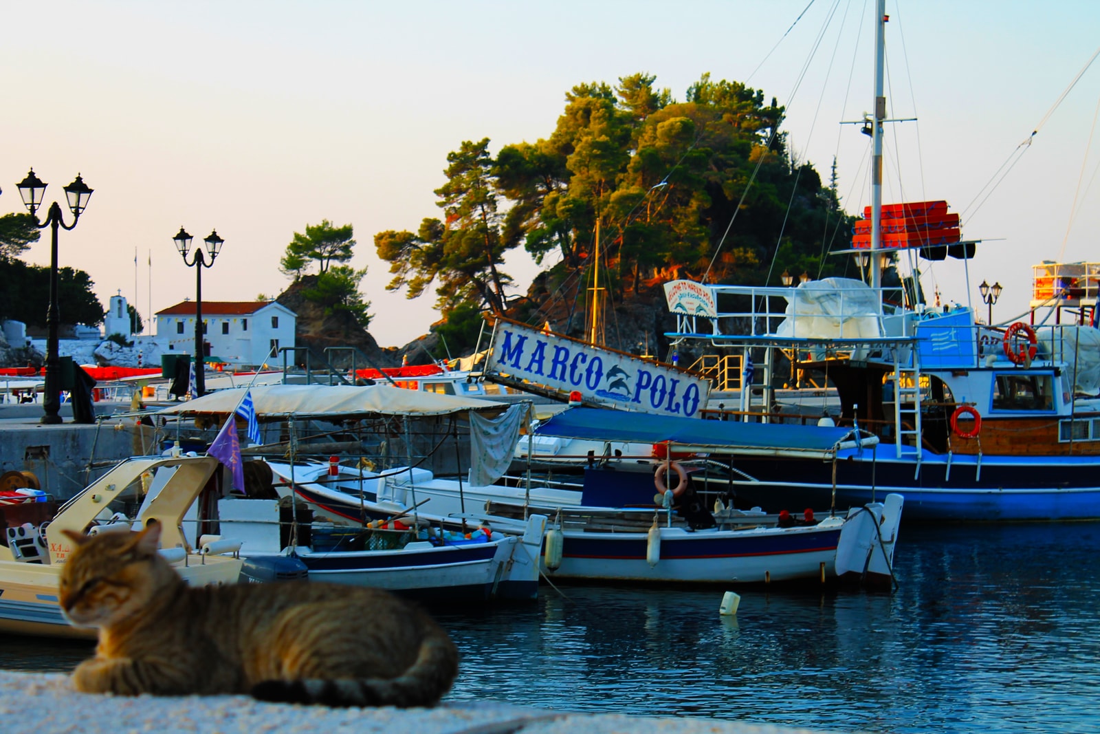 A cat rests on a coil of rope on a pier, with small fishing boats moored in Parga's harbor in the background.