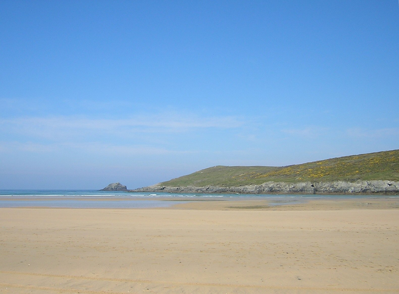 View of the green headland of Pentire Point East, covered in yellow gorse, sloping down towards Crantock Beach.