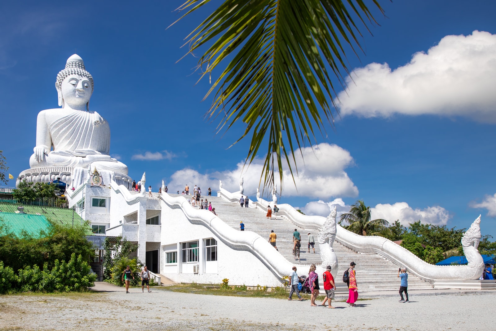 A large white statue of the Big Buddha sits atop a hill, framed by green palm leaves.