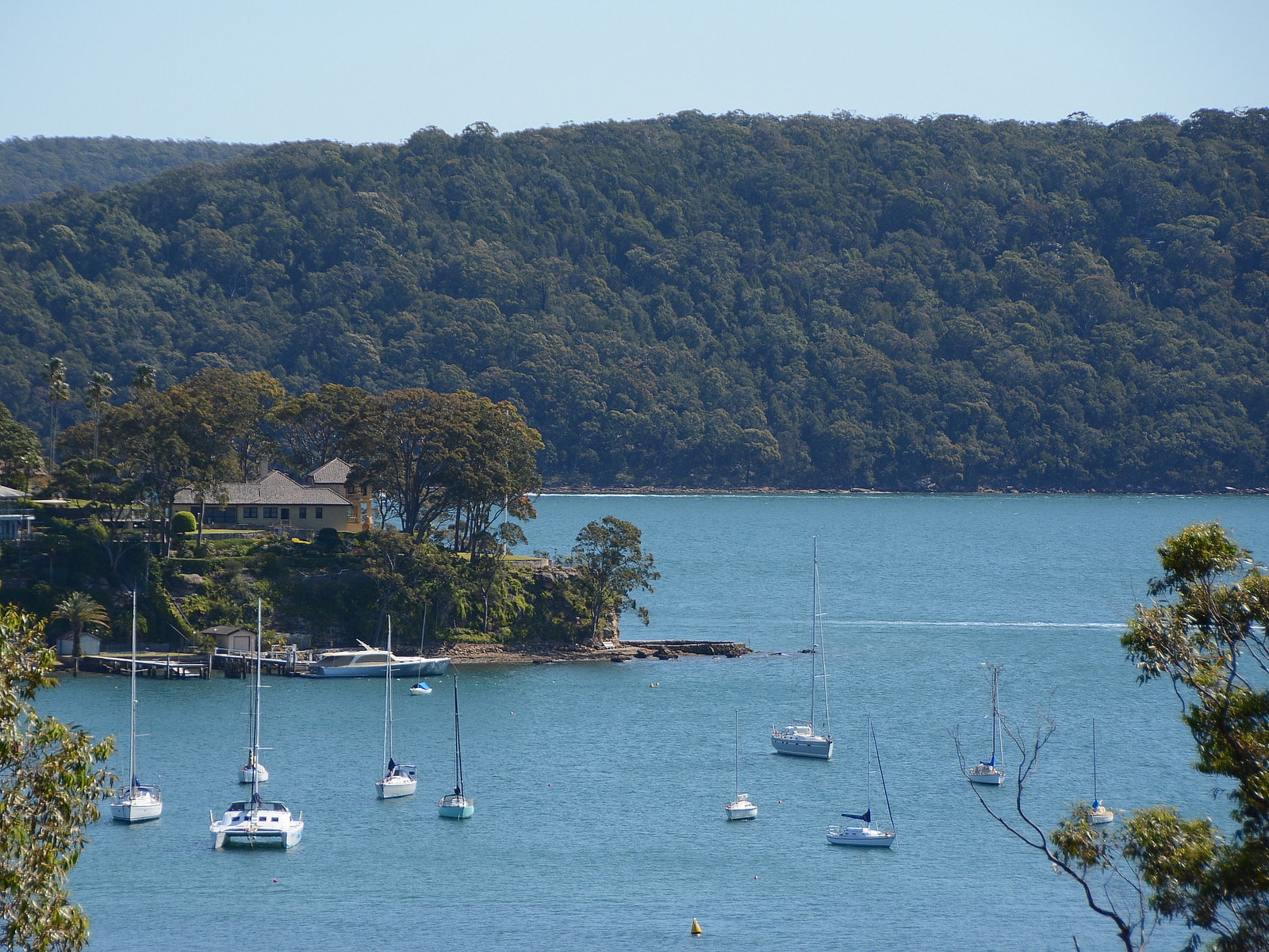 Sailboats are moored in the calm, blue waters of Pittwater, with a lush, green headland in the background under a clear sky.