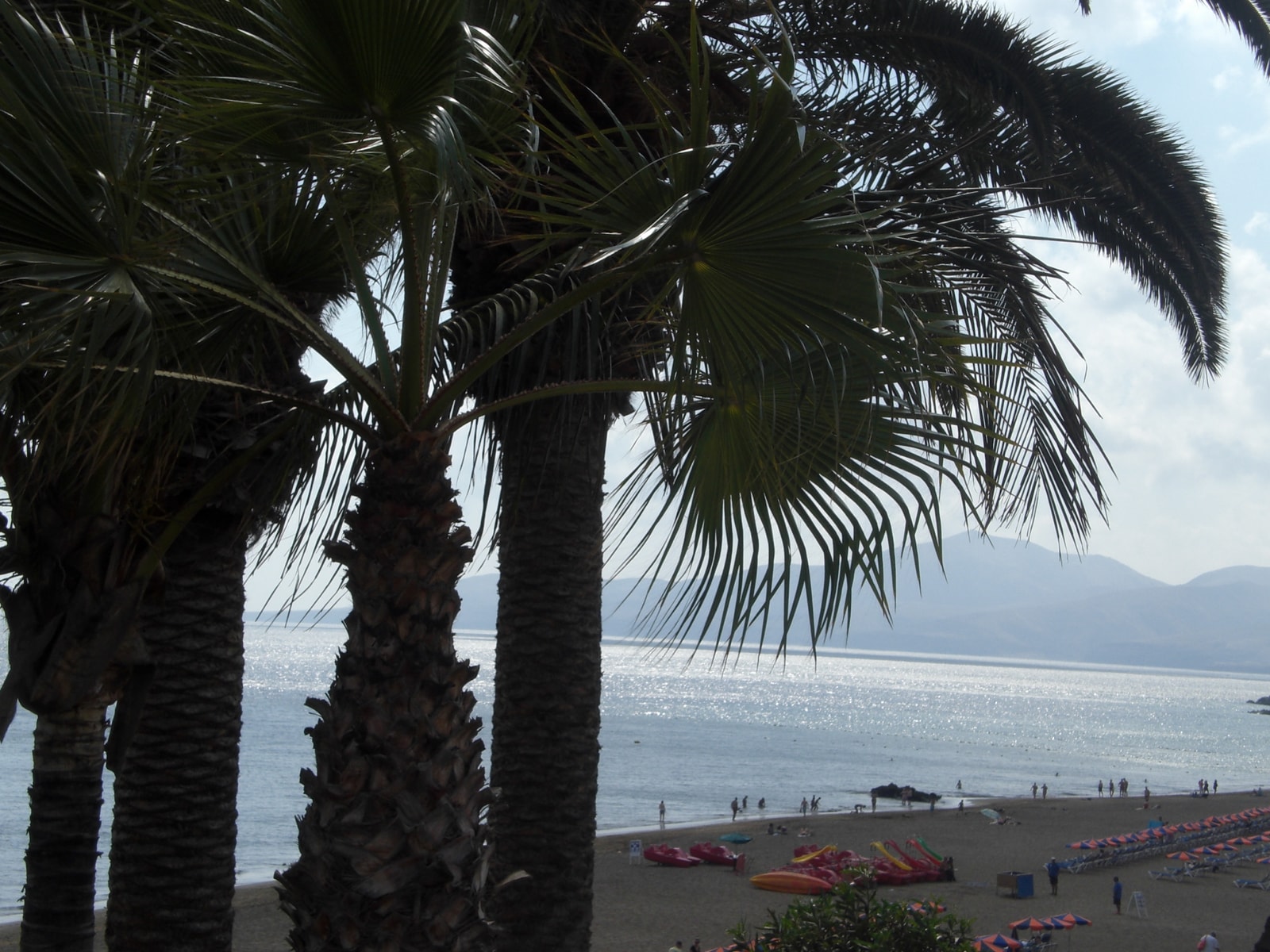 A sandy beach is framed by palm trees, looking out onto the ocean in Playa Blanca.
