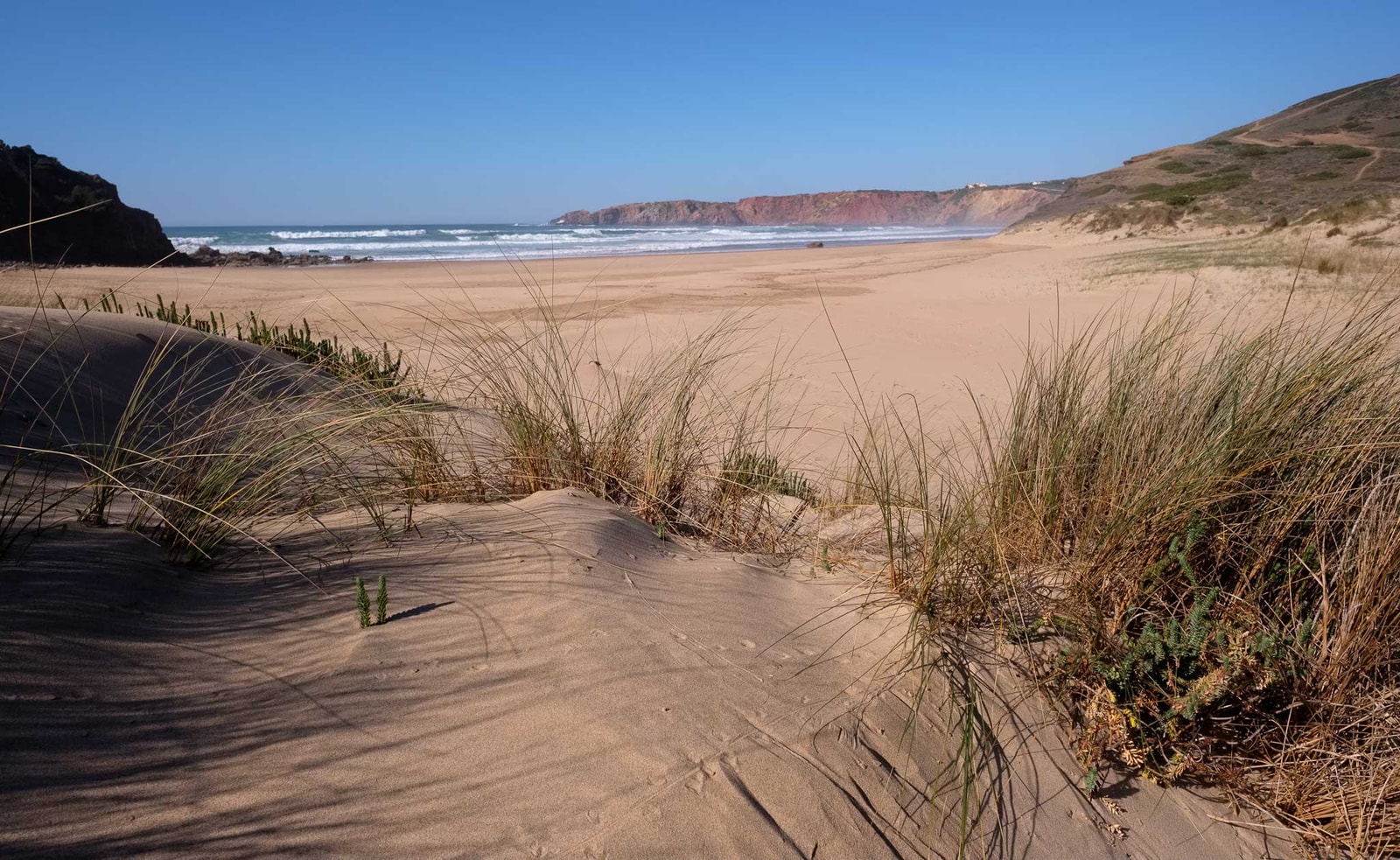 Dune grass and a sandy path lead towards a wide beach with the ocean in the background.