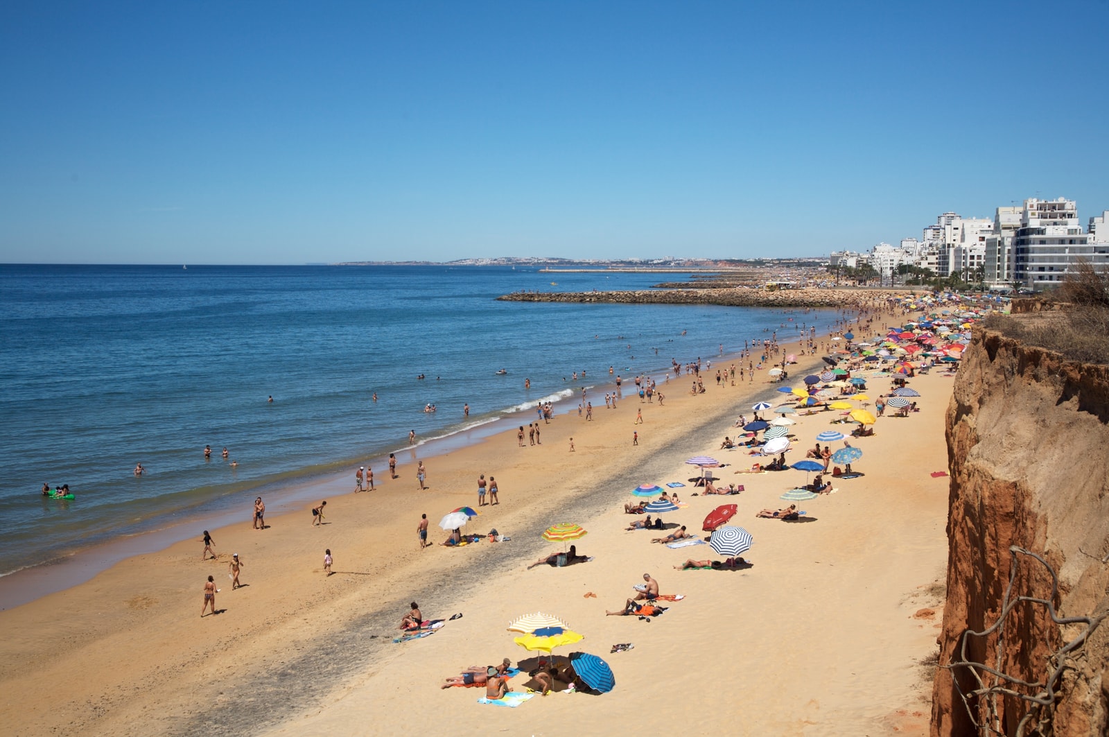 Praia do Forte Novo coast