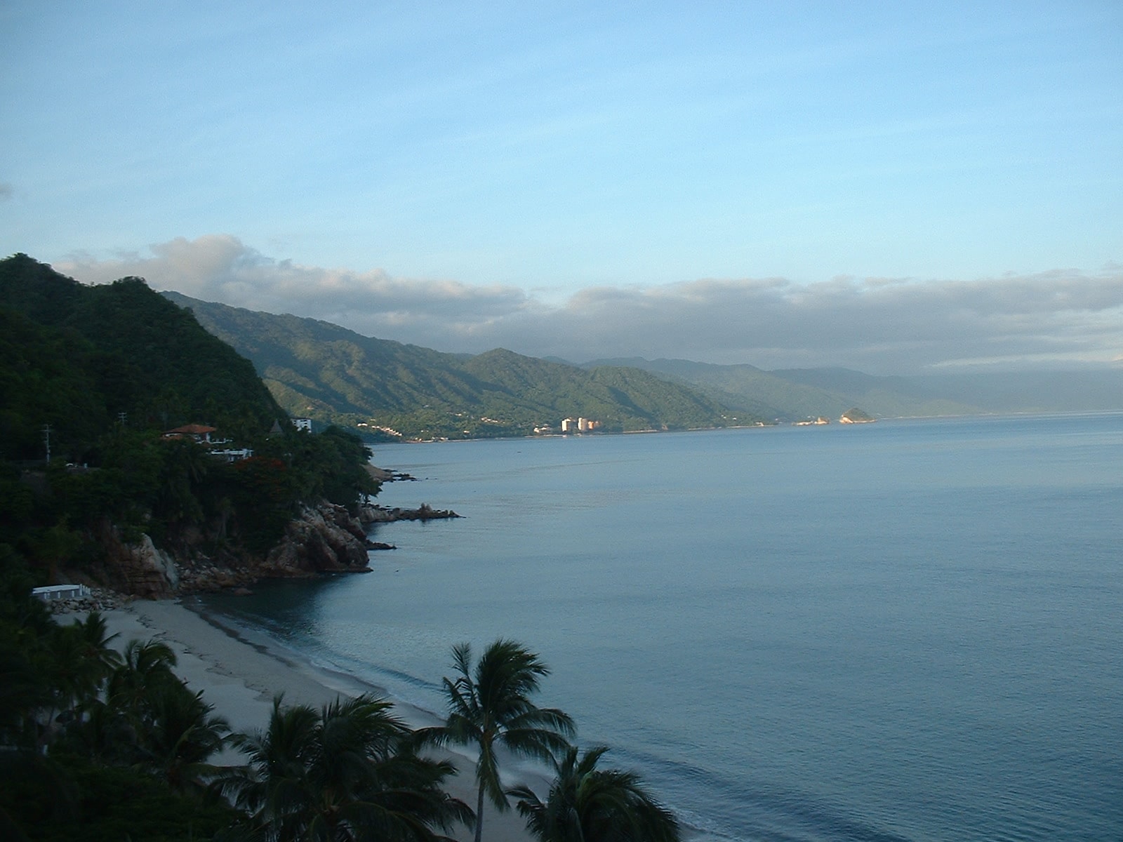 A palm-lined beach in Puerto Vallarta with the calm blue bay and distant green mountains.