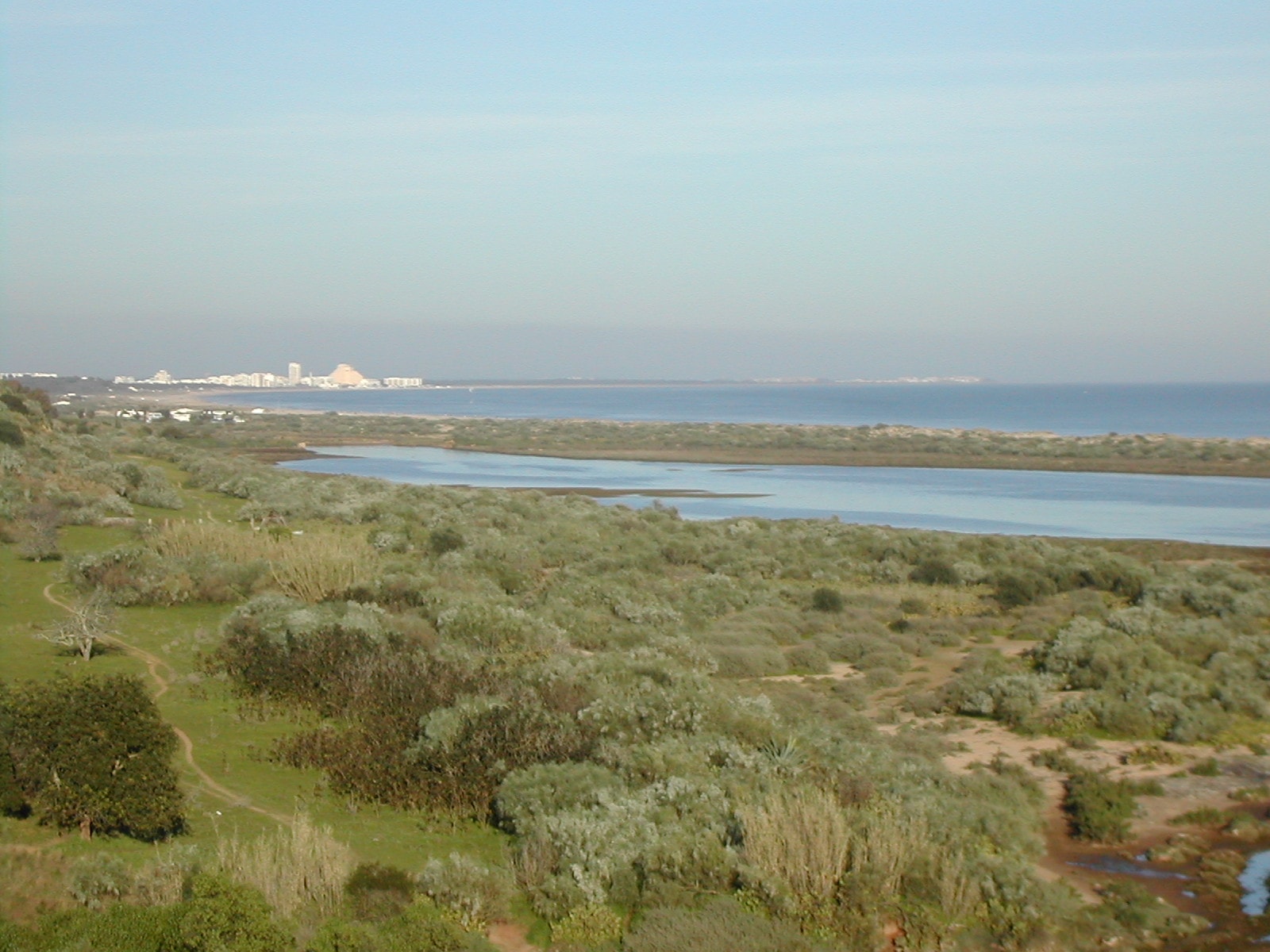 Tidal channels wind through low-lying green marshes and sand flats leading to the open sea.