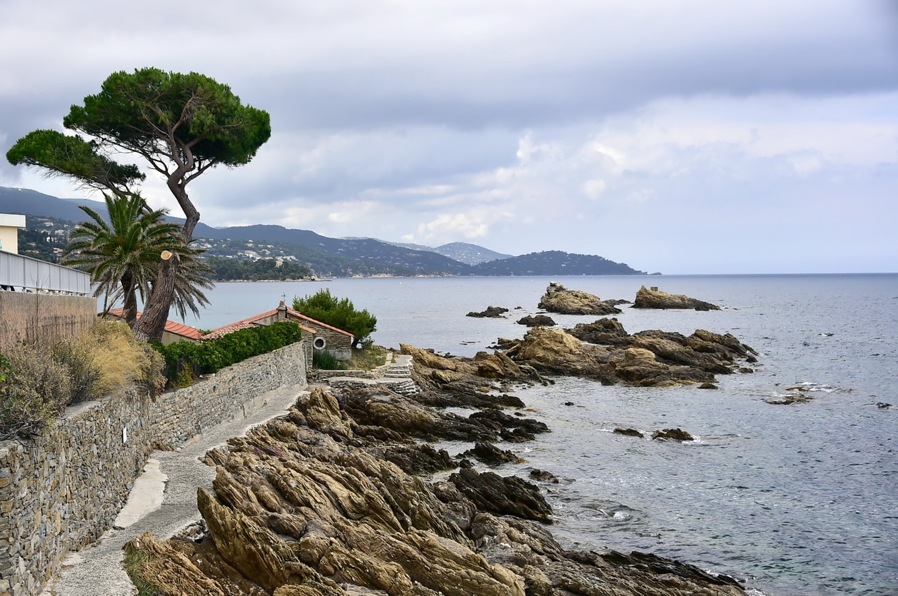 A stone walkway on the coastal path at Saint-Clair, with gnarled pine trunks and rocky shores.