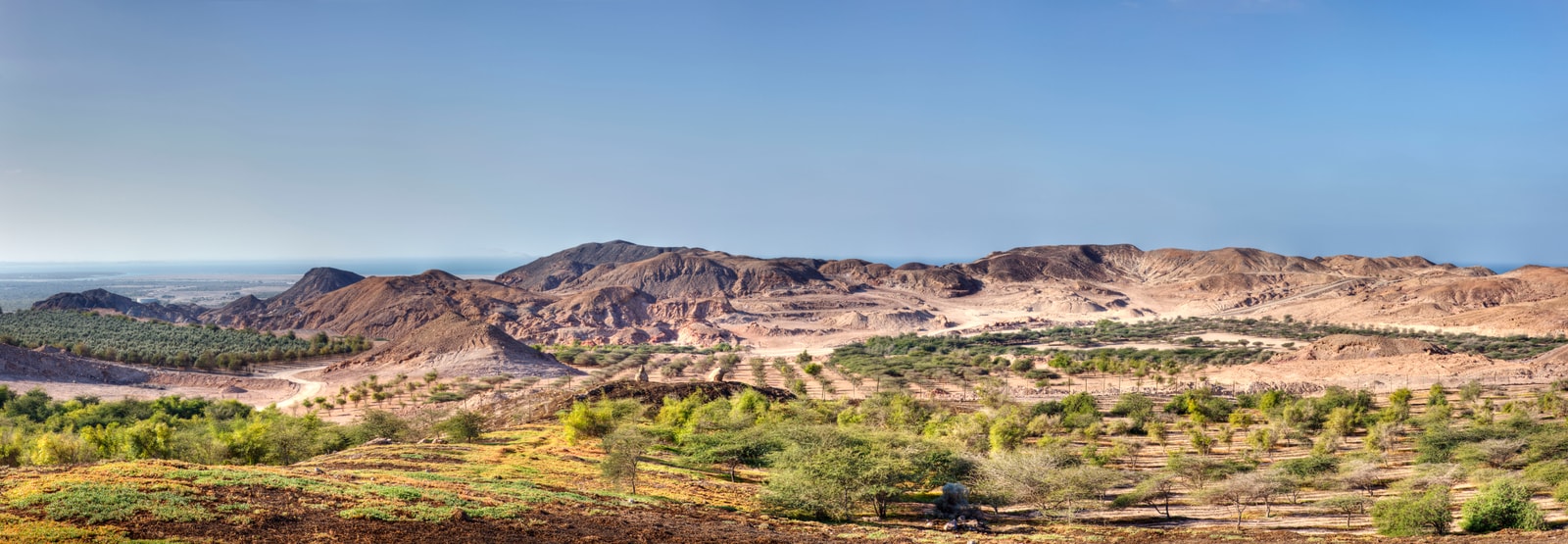 A wide panorama of Sir Bani Yas Island showcases its dry mountain ridges and unique island terrain.