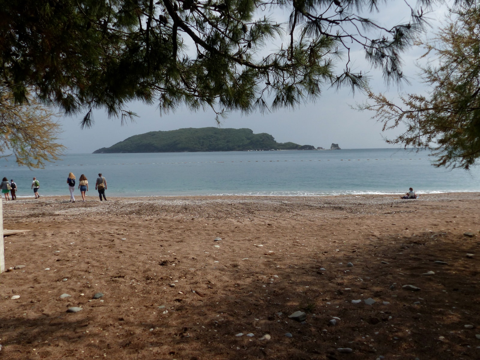Budva's main municipal beach, Slovenska Plaza, is seen through pine branches, with people walking on the sand and Sveti Nikola island in the distance.