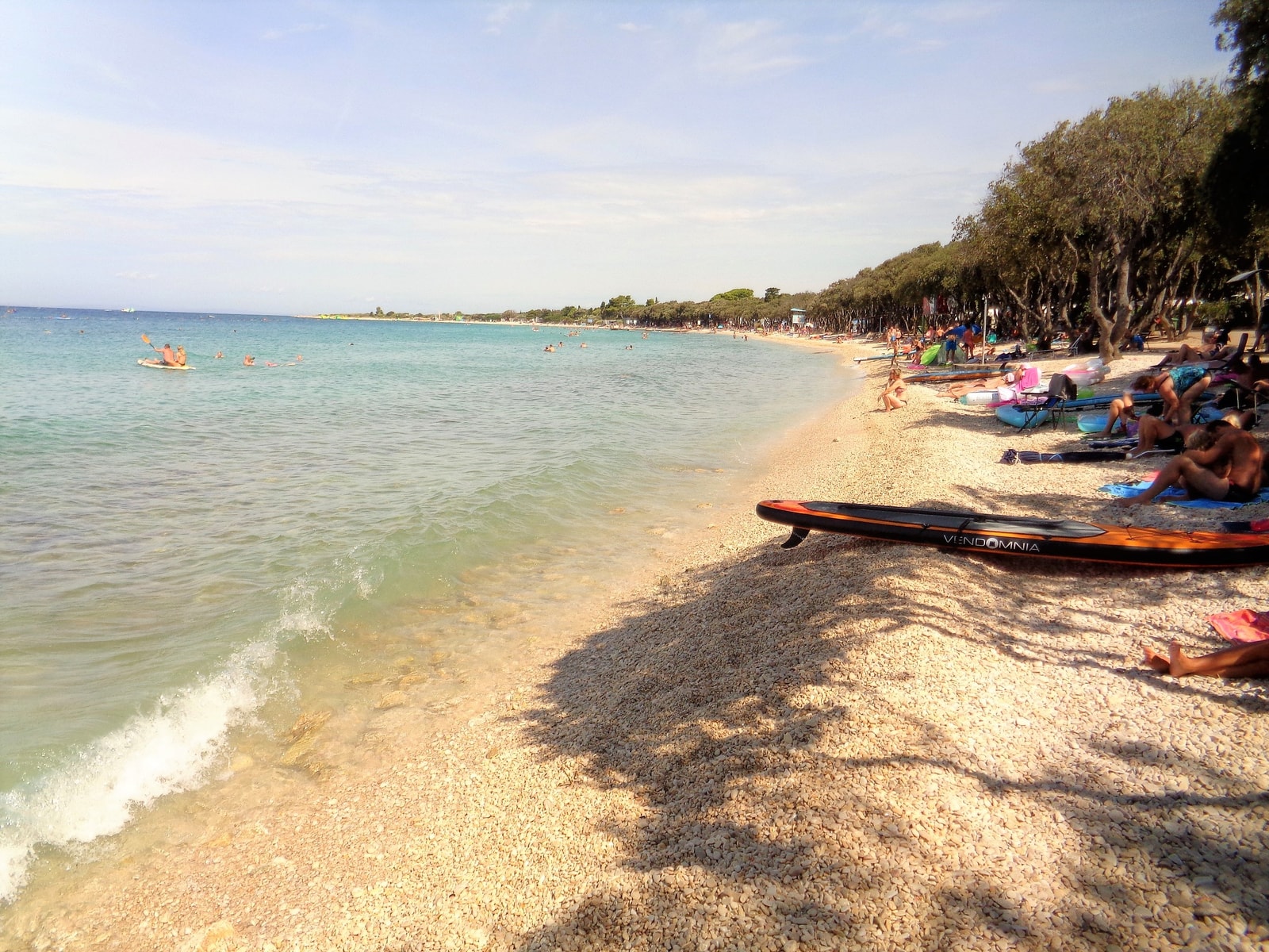 A quiet view of Straško Beach's shoreline with paddleboards resting on the gravel under tall pine trees.