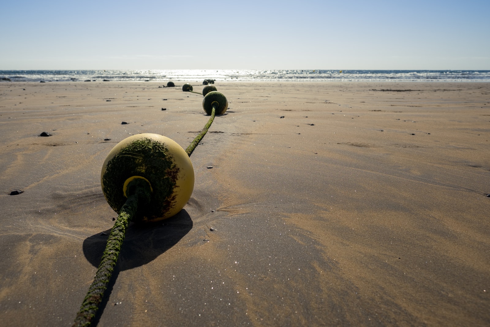 A line of buoys stretches diagonally across the sand and into the water at a beach, marking zones for different activities.