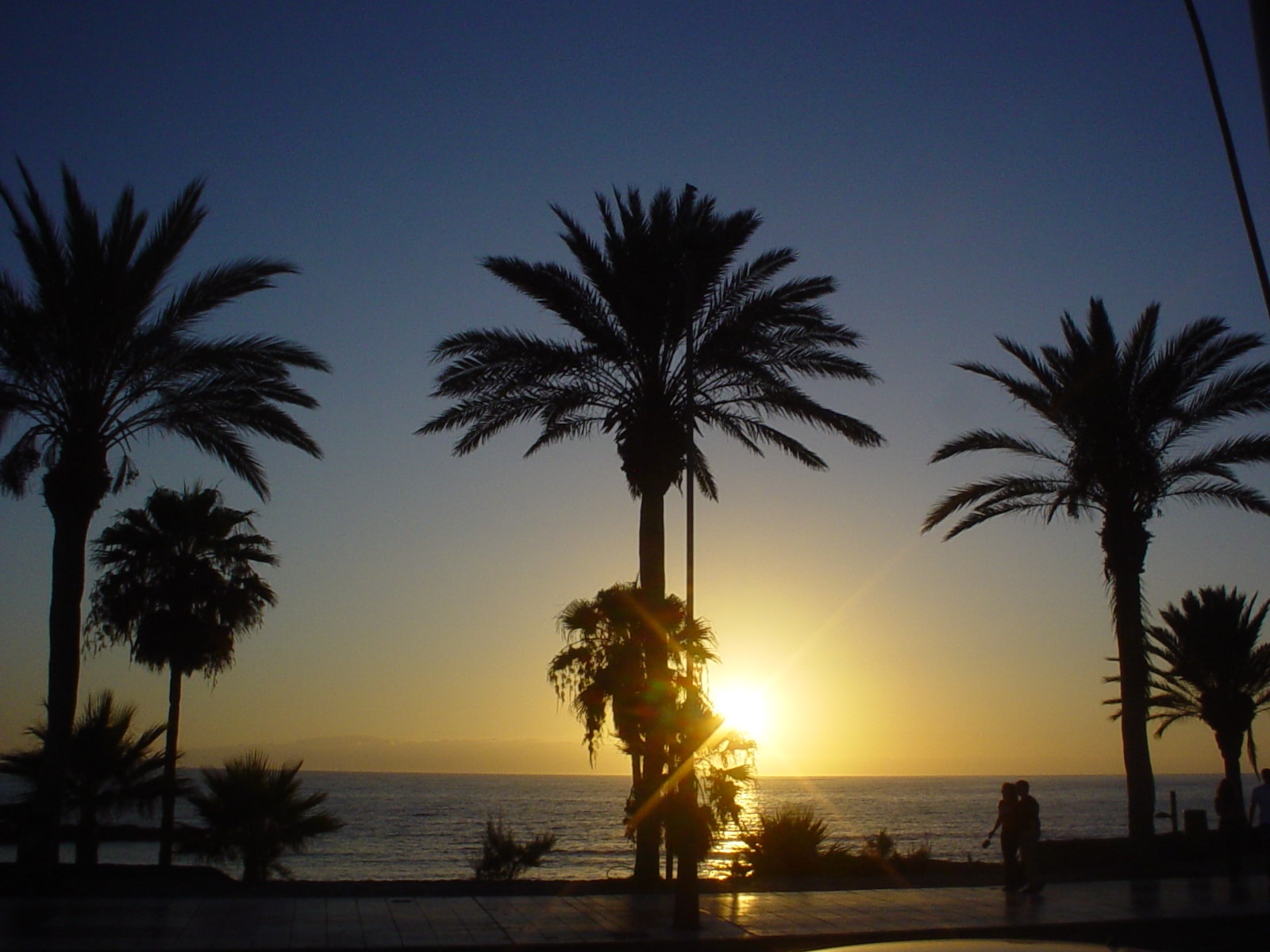 Silhouetted palm trees and a promenade are set against a colorful orange and purple sunset sky over the ocean.