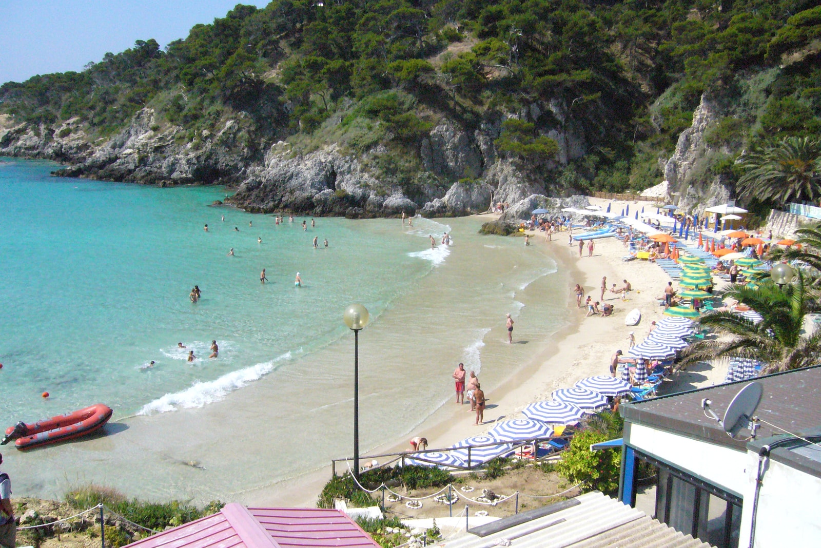 A high-angle view of Cala delle Arene on San Domino island, showing a sandy beach with rows of umbrellas, clear turquoise water, and surrounded by dense pine forest.