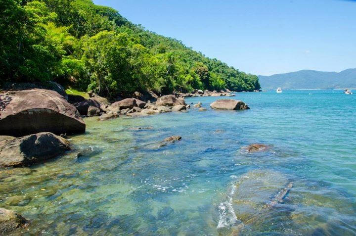A trail through lush green foliage leads down to a view of clear, turquoise water at a beach in Ubatuba.