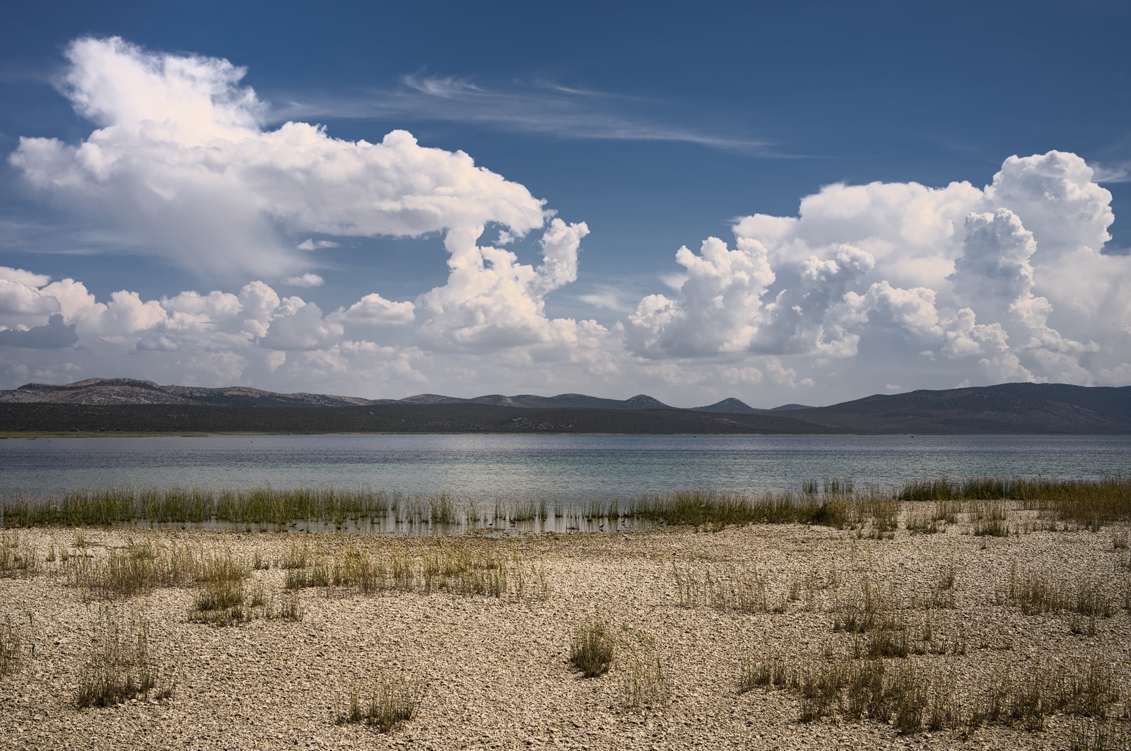 The quiet, wild shoreline of Lake Vrana, showing a gravel beach, reeds, and calm water under a dramatic sky.