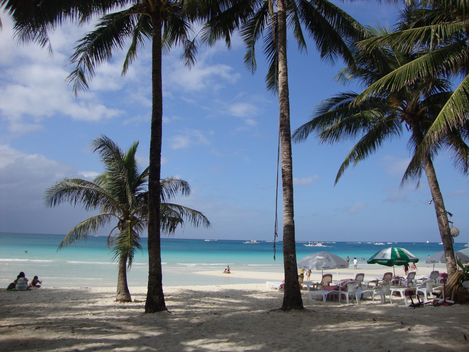 A view of White Beach with turquoise water, white sand, and palm trees framing the scene.