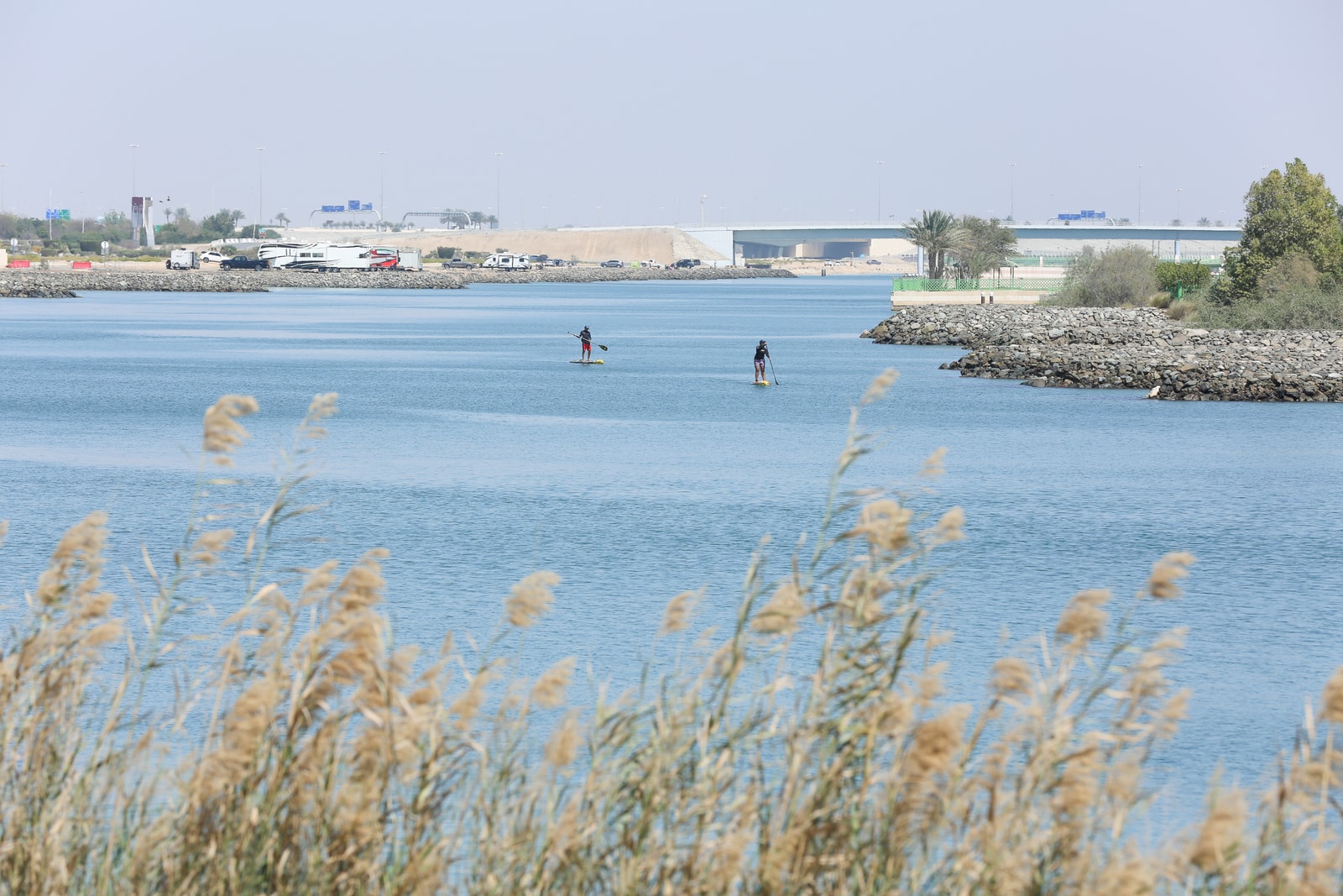 Two people paddle on calm water on Yas Island, with reeds in the foreground and the urban development of Abu Dhabi in the background.