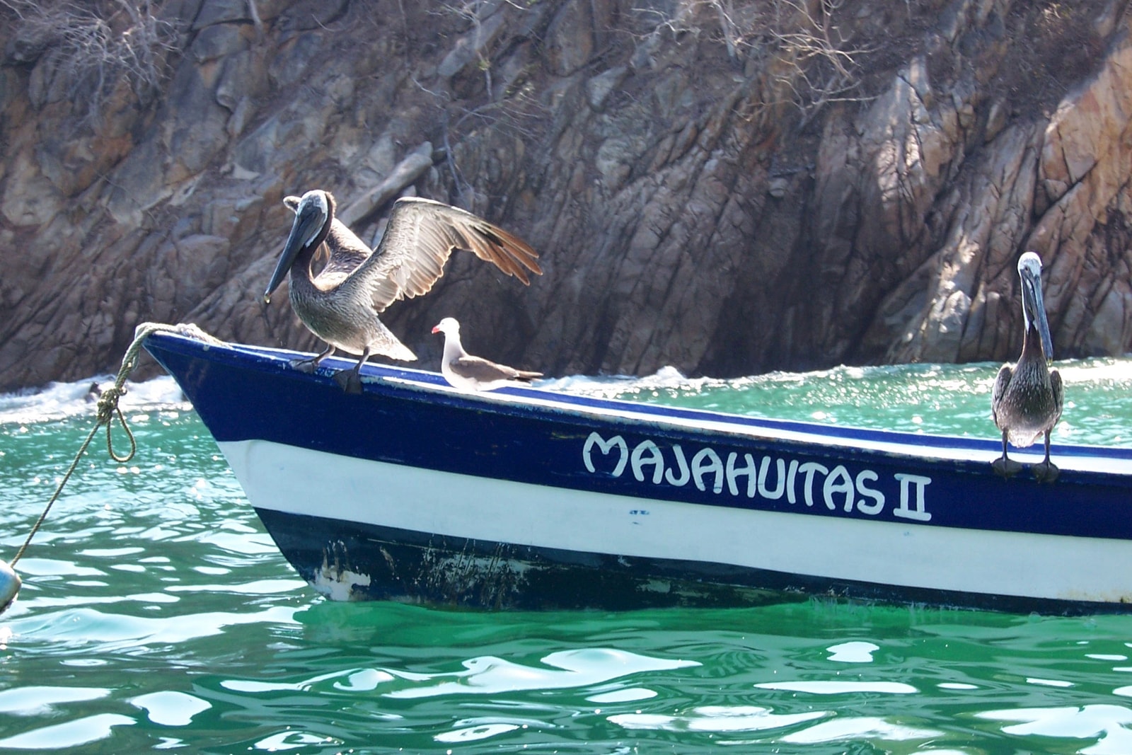 A local panga boat with pelicans perched on its bow navigates past a rocky, jungle-covered coastline.